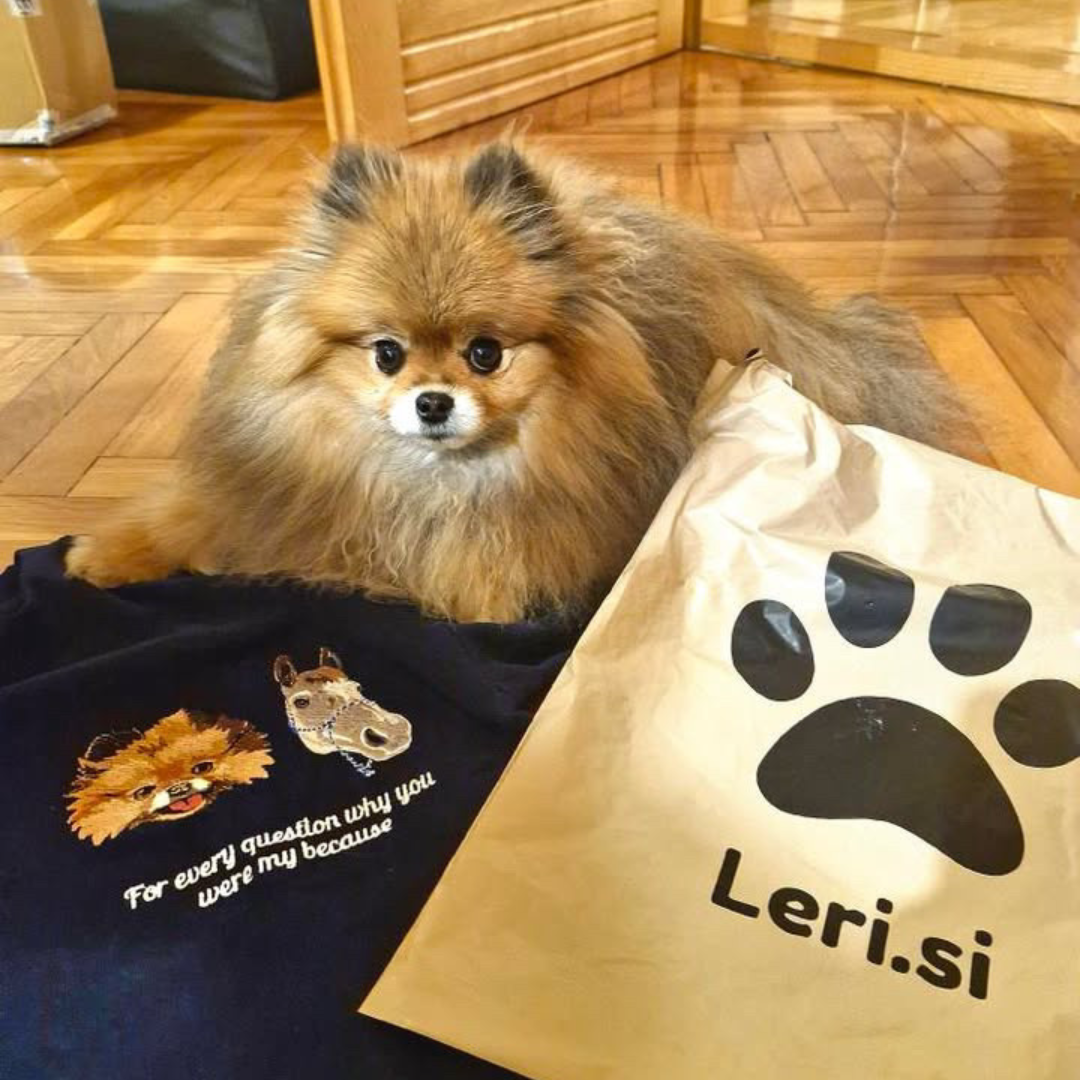 Pulover z ljubljenčkom